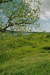 Brgerreise 2004 nach Rjasan